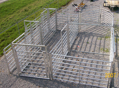 Complete Cattle Working System