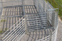Complete Cattle Working System