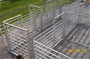 Complete Cattle Working System